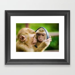 Monkey Mirror (Color) Framed Art Print