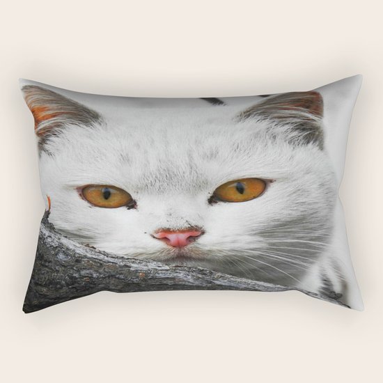 cat Rectangular Pillow