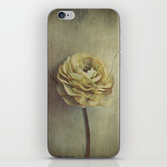 Vintage Blossoms iPhone & iPod Skin
