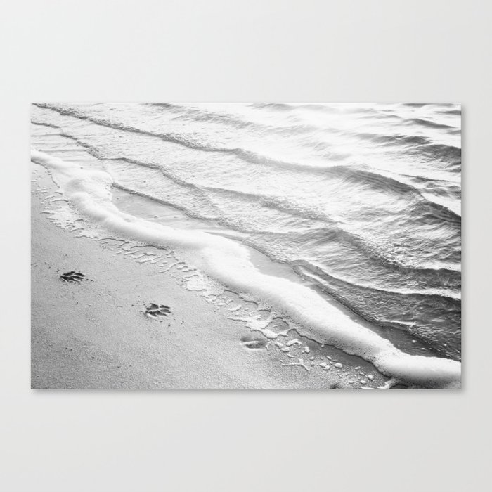 Black And White Beach Ocean Photography Dog Paw Prints