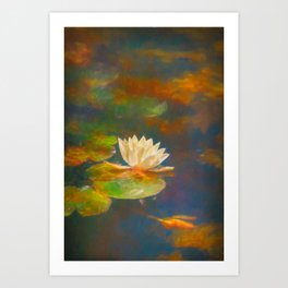 Pond Lily 39 Art Print