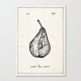 Power plant - pear Canvas Print