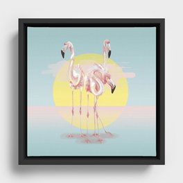 Flamingos Framed Canvas