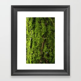 Moss Green, Moss Texture, Textured, Woodland Decor, Nature Art Print, Moss Decor, Nature home, Framed Art Print