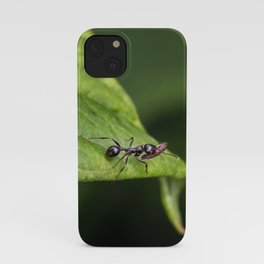 Planning for Winter iPhone Case