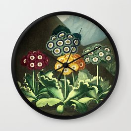 Group of Auriculas :  Temple of Flora Wall Clock