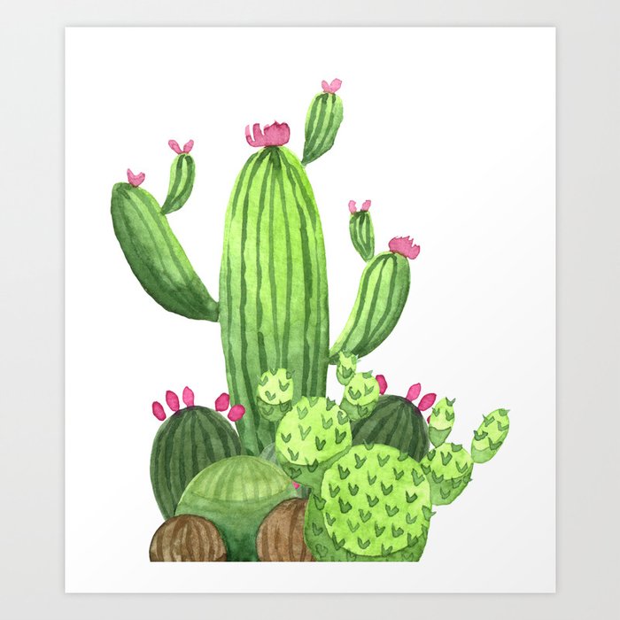 Green Cacti with Pink Flowers Art Print
