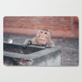Street monkey | Thailand | Lopburi | Nature Cutting Board