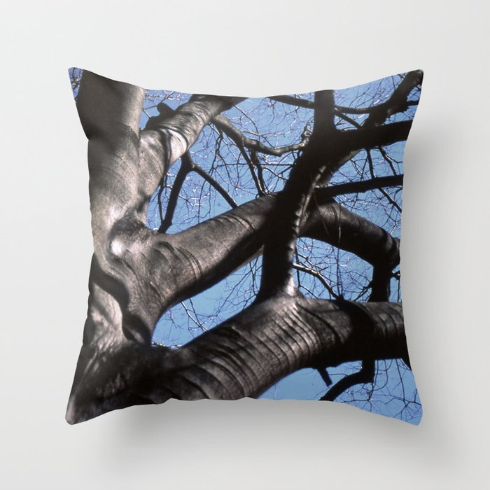 maple tree in winter Throw Pillow