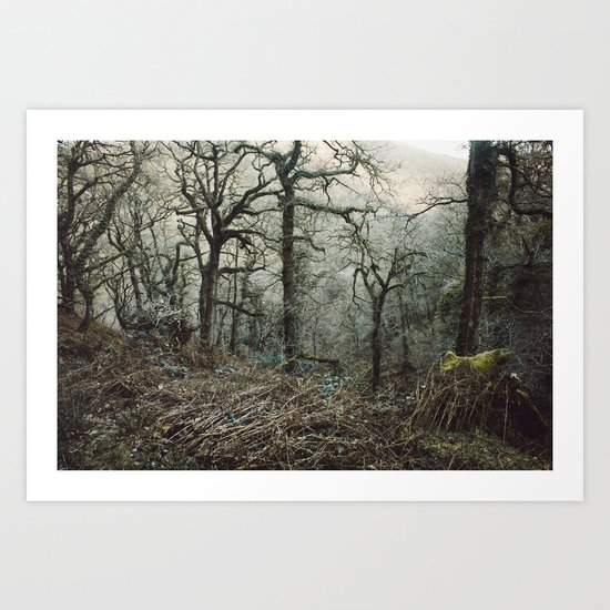 Undergrowth Art Print