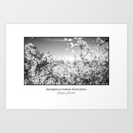 Springtime in Grabow Art Print | Spring, Agriculture, Black and White, Southafrica, Flowers, Digital, Photo, Blossoms, Grabow, Butts 