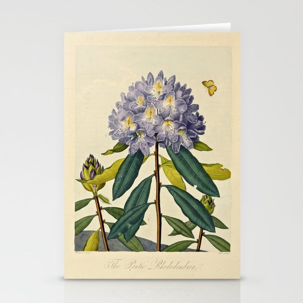 Rhododendron from "The Temple of Flora," 1812 (benefitting The Nature Conservancy) Stationery Cards