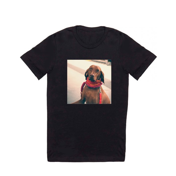 DOG IN SCARF T Shirt