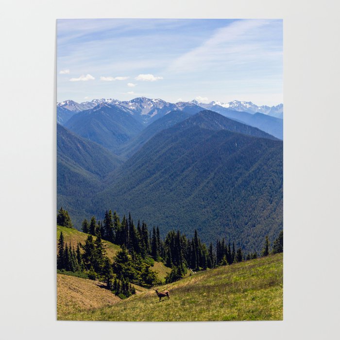 Hurricane Ridge Pano Poster