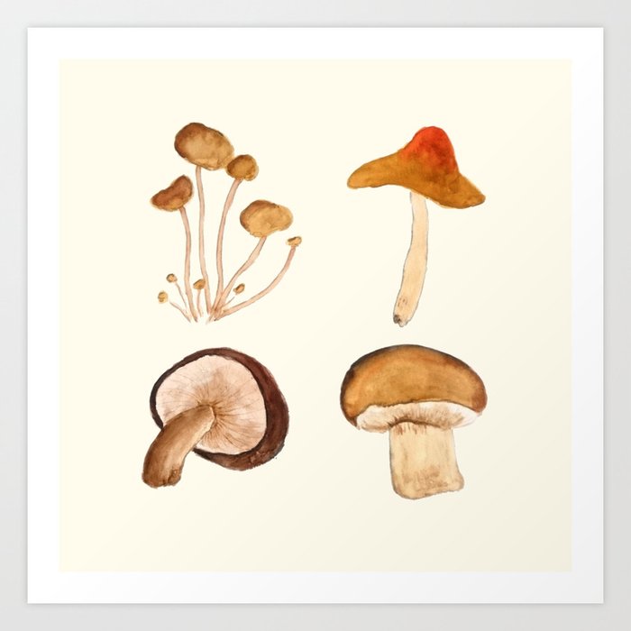 Mushroom Watercolor Painting Art Print By Colorandcolor Society6