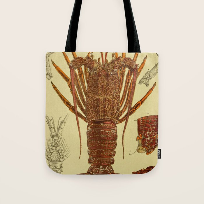 Vintage Lobster Anatomy Diagram (1890) Tote Bag by BravuraMedia Society6