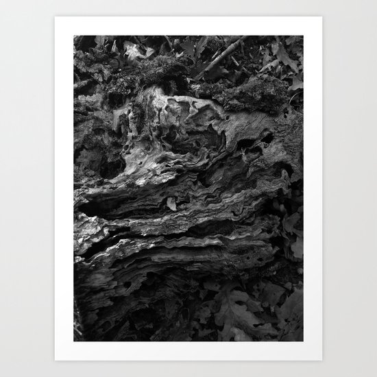 wood Art Print