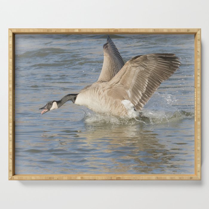 Canada Goose At The River Serving Tray