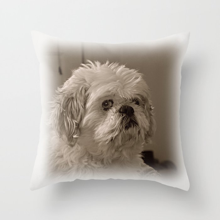 Dog lap store pillow