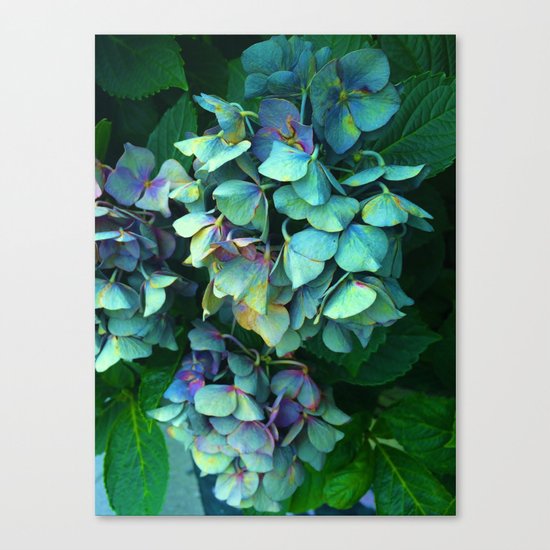 Treasure of Nature VII Canvas Print