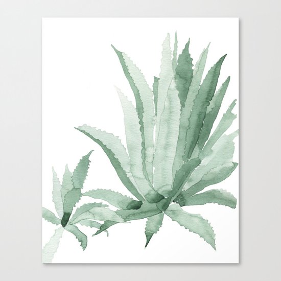 Agave Canvas Print