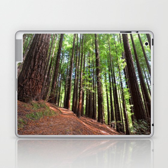 Sequoias in Cabezon de la Sal, Spain. Laptop & iPad Skin
