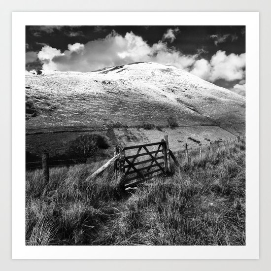 Weathered gate Art Print