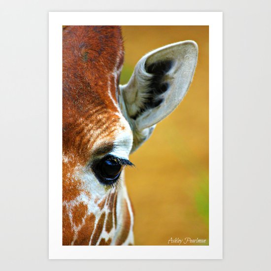 Giraffe Art Print