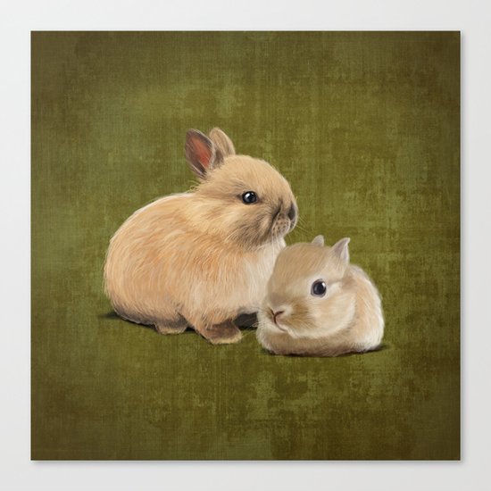 Portrait of two small bunnies Canvas Print
