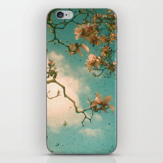 Magnolia Falls iPhone & iPod Skin