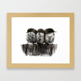 Three little birds. Framed Art Print