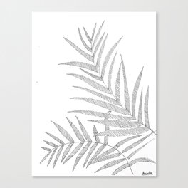 Palm Leaves Canvas Print
