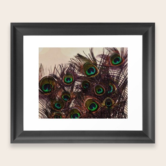 Peacock Feathers Framed Art Print