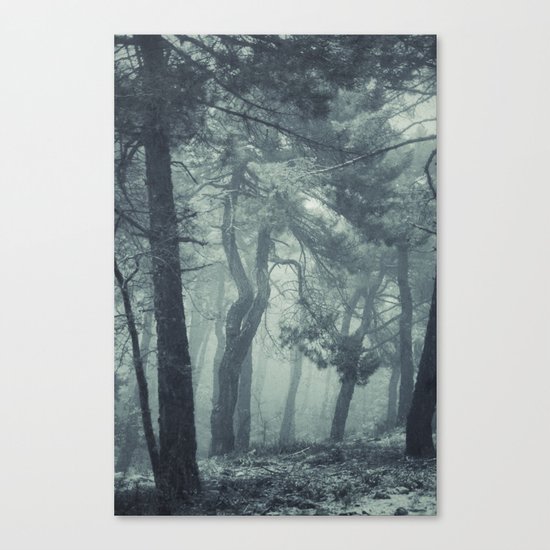 Come in.... Canvas Print