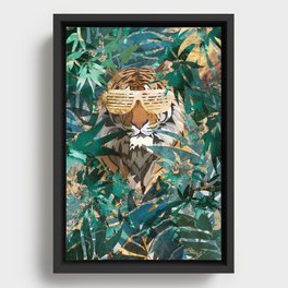 Tiger in the Gold Jungle wearing hip hop sunglasses Framed Canvas