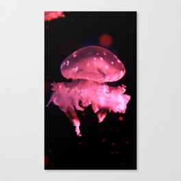 Jelly On Fire Canvas Print