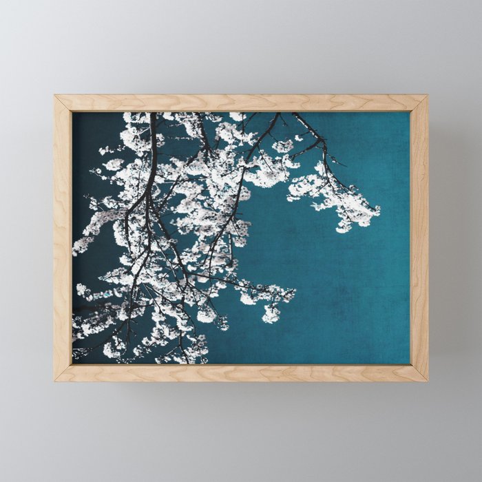 White Blossoms Tree Print - Flowers in Teal - Elegant Floral -  Japanese Nature photography Framed Mini Art Print
