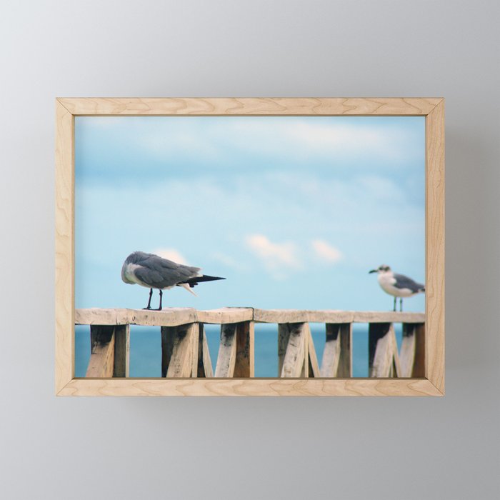 Bird collection _02 Framed Mini Art Print