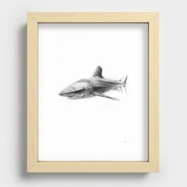 Shark I Recessed Framed Print