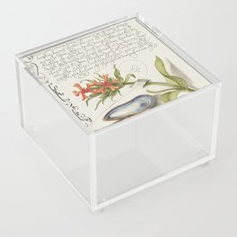 Oyster and flowers vintage calligraphic art Acrylic Box