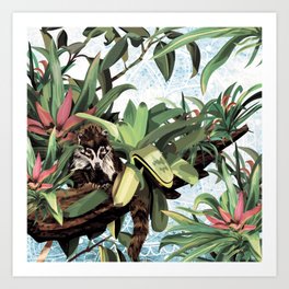 Ring tailed Coati Art Print