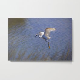 Graceful Landing Metal Print | Wildlife, Digital Manipulation, Color, Blue, Orange, Grass, Painterly, Feathers, White, Water 