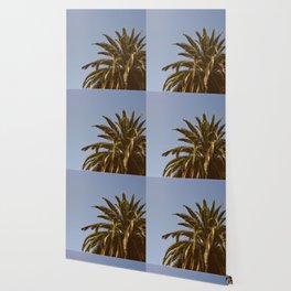 Peek-a-Boo Palm Tree Wallpaper