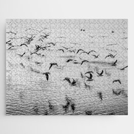 Seagulls in motion, black and white fine art image Jigsaw Puzzle