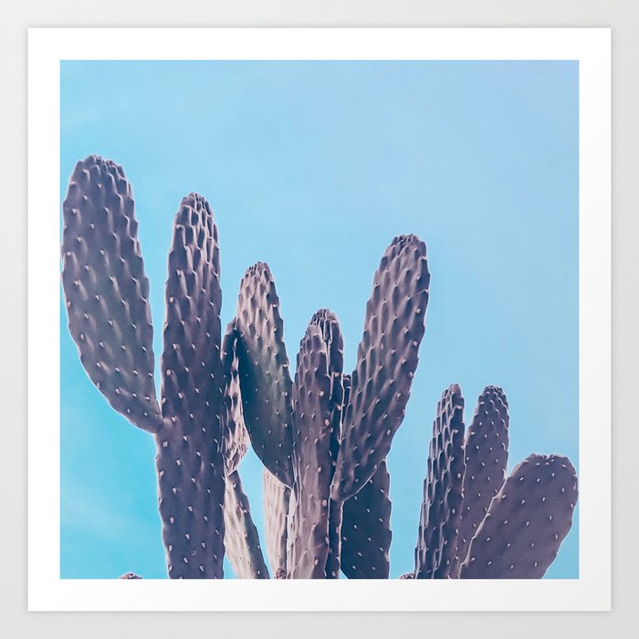 Cactus Photography Print {2 of 3} | Cool Blue Succulent Plant Nature Western Desert Design Decor Art Print