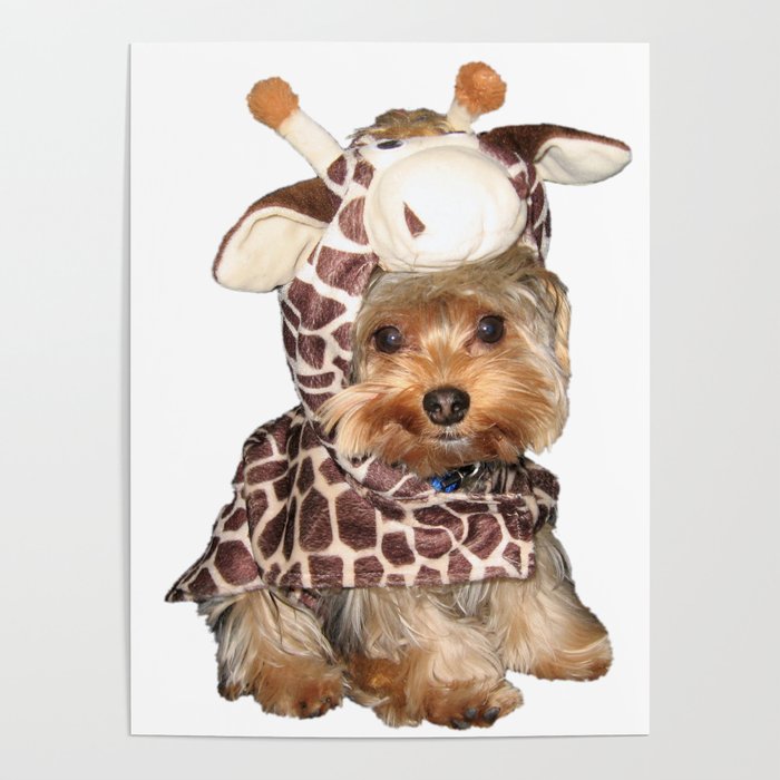 Yorkshire Terrier Puppy - Giraffe Costume Poster