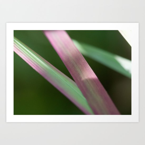 Red Baron close-up (Japanese bloodgrass) #1 #art #society6 Art Print
