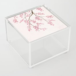 Can You Feel Spring? - Cherry Blossom  Acrylic Box