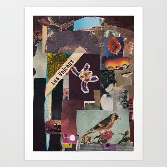 Zeisig Art Print