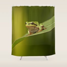 Green Frog Shower Curtains For Any Bathroom Decor Society6